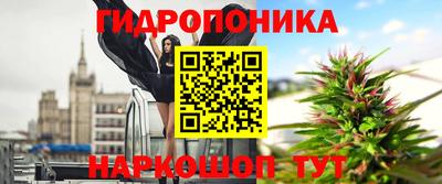 ECSTASY Кингисепп