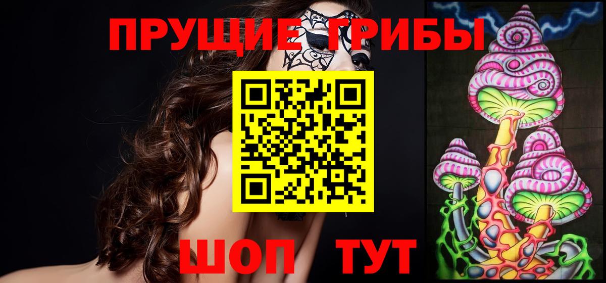 Псилоцибиновые грибы Psilocybe Красноярск